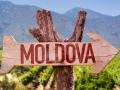 Молдова: вино, монастыри, заповедники и иные достопримечательности