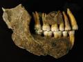 Неандертальцы исчезли из Европы на тысячи лет раньше, чем мы думали 