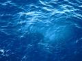 Мертвые зоны в океане оказались долгожителями 
