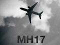 Порошенко прокомментировал выводы следствия по MH17 