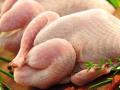 Эксперты прогнозируют рост цен на курятину перед новогодними праздниками