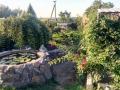 Жительница Запорожской области превратила свой двор в ботанический сад