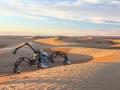 В Сахаре испытали автономные марсоходы