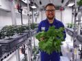 В Антарктиде впервые собрали урожай овощей и зелени