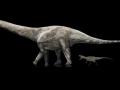 Анализ окаменелостей позволил найти самого длинного динозавра в истории 