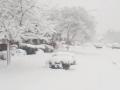 США засыпало снегом: без света 380 тысяч домов 