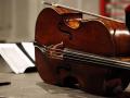 Во Франции похитили виолончель стоимостью 1,3 млн евро 