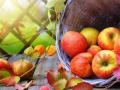 Яблочный Спас 2019: традиции праздника