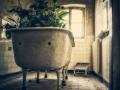 Як позбутися від вологості і цвілі у ванній: ці поради вам точно допоможуть