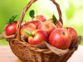 Почему яблоки не тонут в воде и еще 12 удивительных фактов о яблоках
