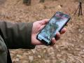 "Лес в смартфоне": теперь каждый украинец может определить, законно ли рубят деревья