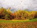 30 октября в Украине будет облачно и прохладно