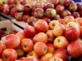 Почему из Украины так мало экспортировали яблок - эксперты