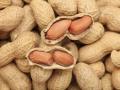 «Ранок з Україною»: эксперты рассказали, как похудеть с помощью арахиса