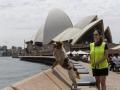 В Австралии ввели собачьи патрули для борьбы с чайками