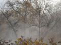 Україні прогнозують холодні ранкові тумани та до +15° вдень