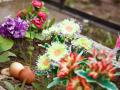 ПЦУ призывает отказаться от пластиковых цветов на кладбищах