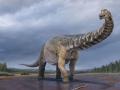 В Австралии обнаружены останки самого крупного динозавра длиной 30 метров