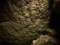 В Шотландии нашли редкий барельеф возрастом 5000 лет