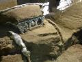В Помпеях обнаружили 2000-летнюю колесницу