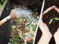 Робимо прискорювач компосту своїми руками: купа перегниє удвічі швидше