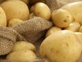 Яку молоду картоплю не потрібно купувати: поради фахівців
