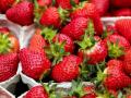 Українцям обіцяють дешеву полуницю: скільки зараз коштує ягода та коли чекати на обвал цін