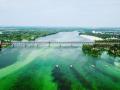 Аудиторы назвали состояние реки Днепр катастрофическим