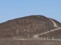 На плато Наска нашли еще один рисунок - кошку длиной почти 40 метров