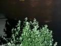 У Керчі після атаки дронів серйозно пошкоджено порт: з’явилися перші наслідки удару