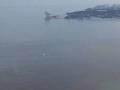 На море в Одессе - красные приливы, экологи советуют не купаться