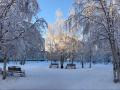 Зима не отступает. Ночные морозы и снегопады удержатся в Украине и завтра