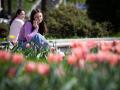 Вдень до +25, вночі заморозки: якою буде погода в Україні 4 травня