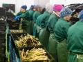 Все більше українців у Польщі повертаються додому або їдуть далі за кордоном