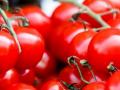 «Червоне золото»: помідори в Україні б’ють цінові рекорди — у чому причина