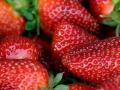 Заради великих і соковитих ягід: що потрібно зробити з полуницею в квітні