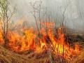 Рада передумала штрафовать за выжигание травы и поджоги лесов