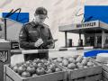 Битва за полиці. Чому Україна нарощує імпорт продуктів і хто в цьому винен