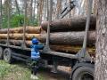 У Полтаві агенти Української універсальної біржі провели огляд партії деревини, реалізованої на біржових торгах