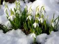 Почти без снега и весна придет поздно: синоптик дал прогноз погоды до конца зимы