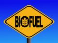 Запасы биотоплива в Украине составляют 5,7 млрд кубометров
