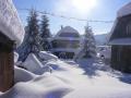 Снег завалил дома по крыши: В Карпатах рекордные сугробы 