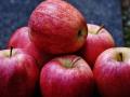 5 причин есть яблоки каждый день