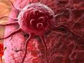  Ученые обнаружили способность организма бороться с раком 