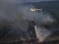 Пожежу в Чорнобильській зоні зупинено