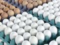 Запрет на экспорт столовых яиц в Израиль могут снять - Госпортребслужба