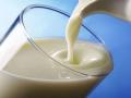 АПМ и ВАС призвали будущих руководителей городов приобщиться к внедрению программы "Школьное молоко"
