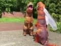 Во Львове пара пришла в ЗАГС в костюмах тиранозавров