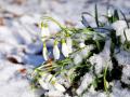 Украину накроют снегопады: куда вернется зима