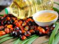 Рада сделала шаг к запрету использования пальмового масла в Украине